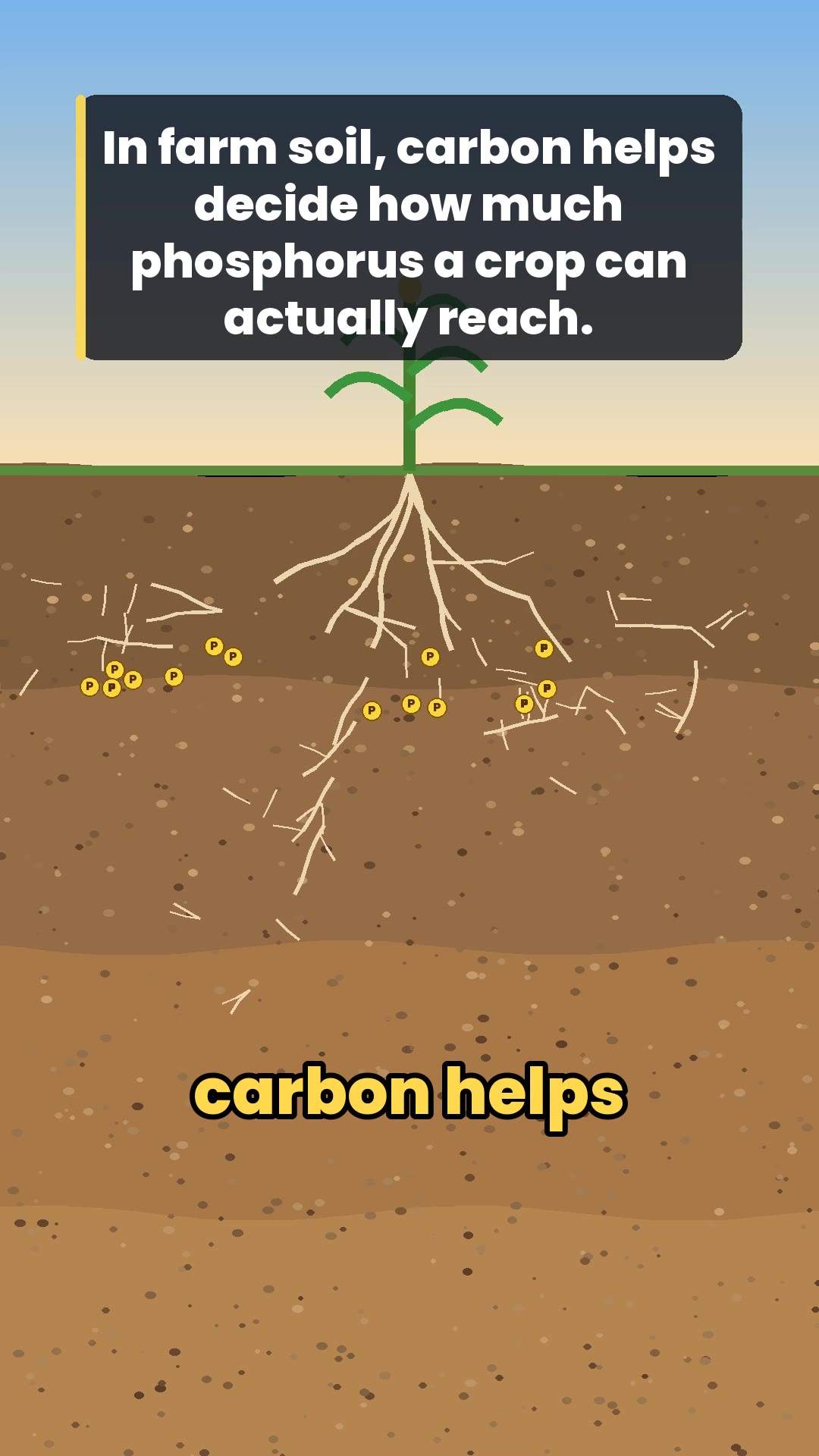 Animated farm soil diagram showing organic carbon and phosphorus
